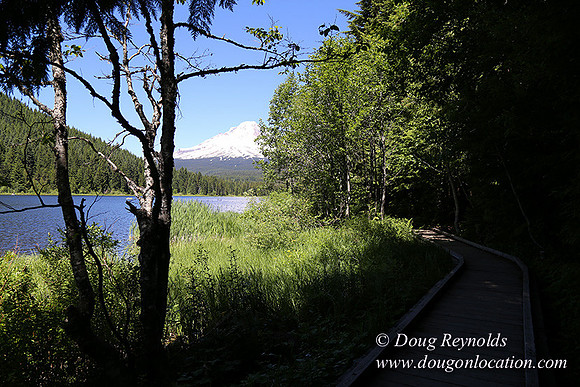 Trillium Lake-32003558