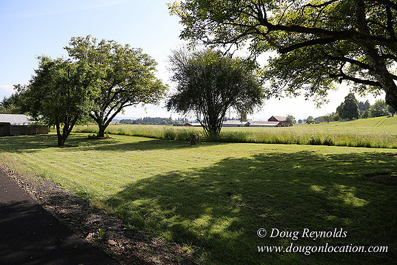 Helvetia rd at Mikes-5979