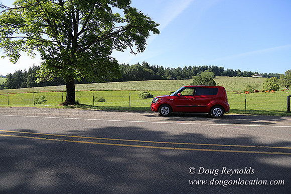 Helvetia rd Church-6049