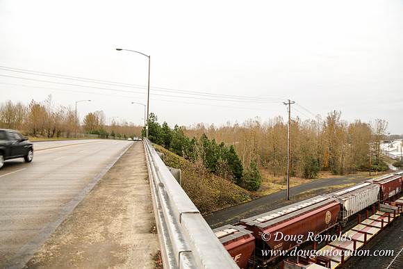 Marine Dr Overpass-5272