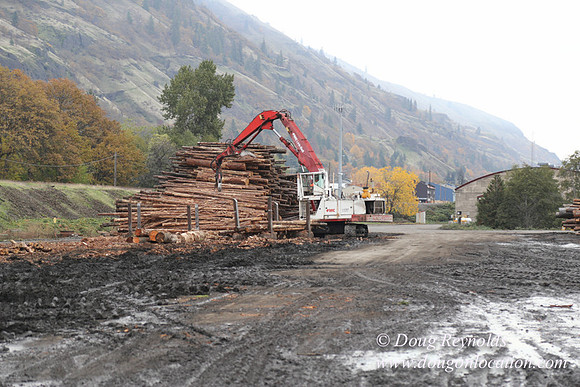 SDS Lumber-1344