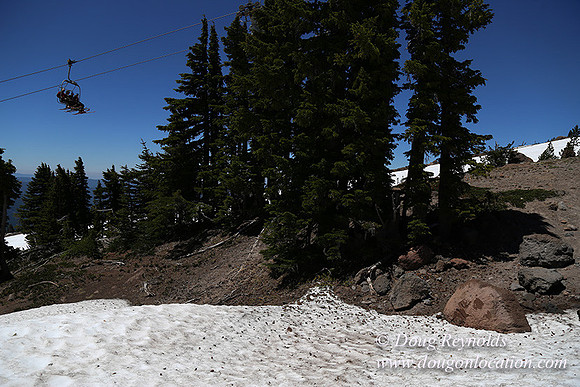 Timber Line-5438