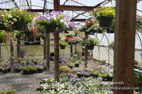 lee Farms-5296