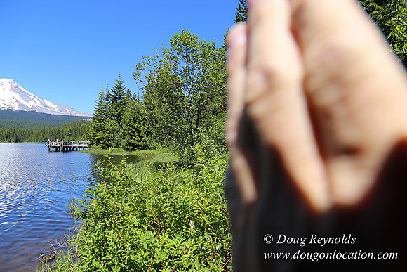 Trillium Lake-32003571
