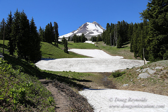 Medow's Snow-5819
