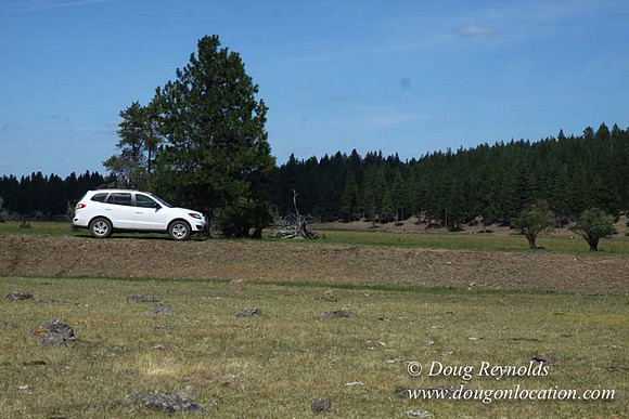 Ranch 18 South side of Hwy  has 2500 Acres of green fields Creeks water crossing Bridges on a Large Lake and miles of Dirt roads Oak trees  Forest land ATV Trails cows