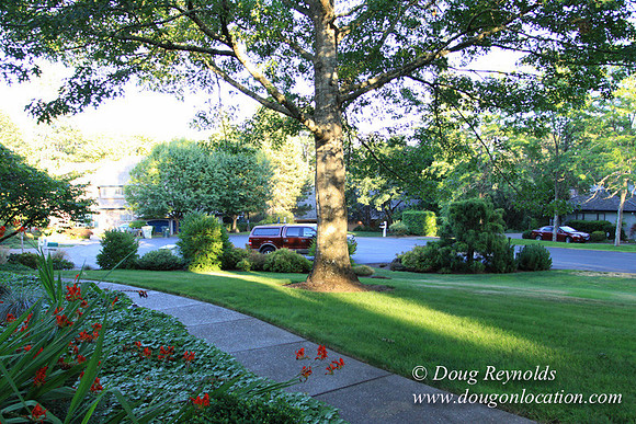 Large Traditional 70’s Style Home, 2 story, 3 car garage on Large Lot with Bees