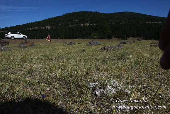 Ranch 18 South side of Hwy  has 2500 Acres of green fields Creeks water crossing Bridges on a Large Lake and miles of Dirt roads Oak trees  Forest land ATV Trails cows