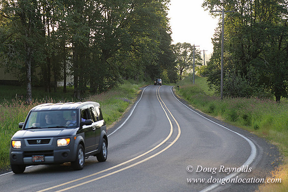 Mountaindale Rd-6407