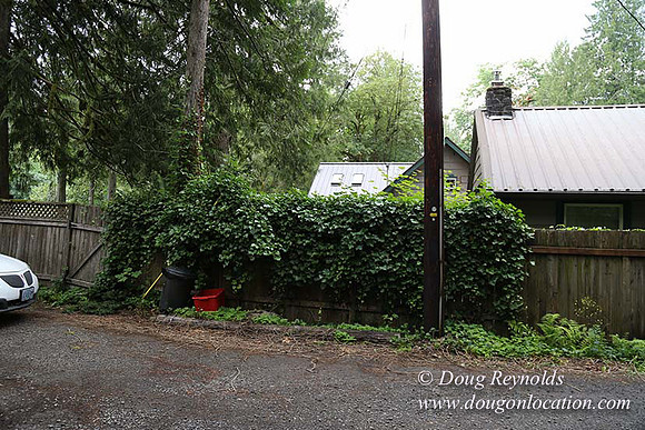 Small, Cabin, Home, River, OR, Oregon, Green, Yard,