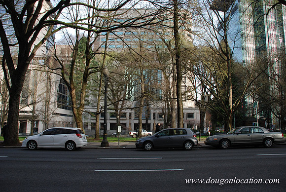 Chapman Square-0461