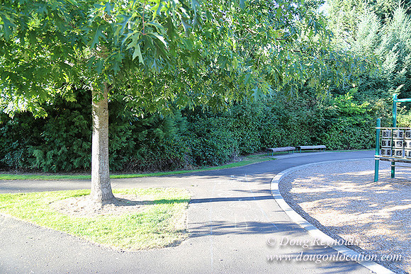 Lincoln Park-0596