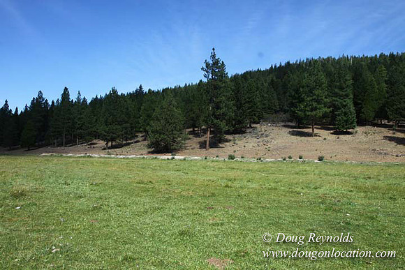 Ranch 18 South side of Hwy  has 2500 Acres of green fields Creeks water crossing Bridges on a Large Lake and miles of Dirt roads Oak trees  Forest land ATV Trails cows