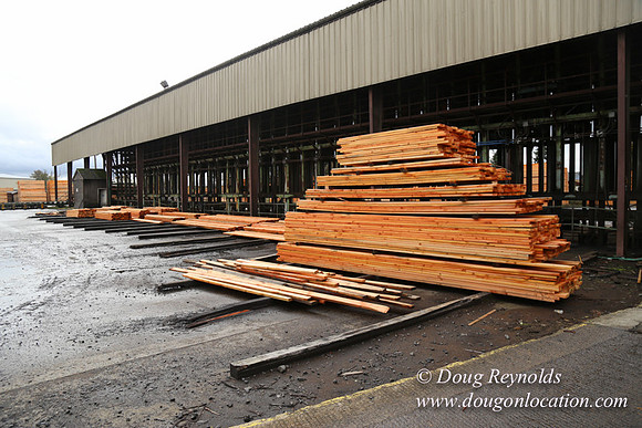 Saw Mill and Lumber Yard