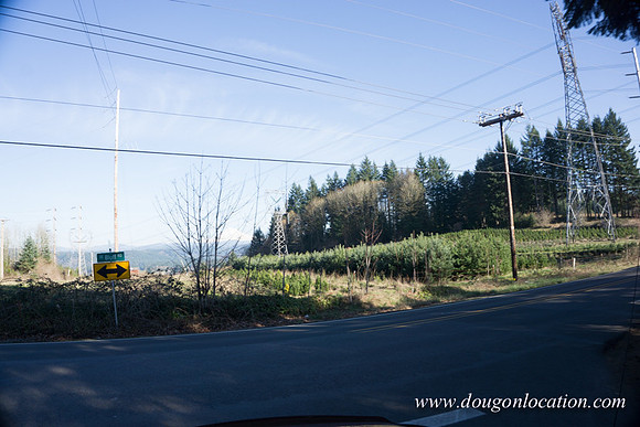 SE Dunn Rd-3675