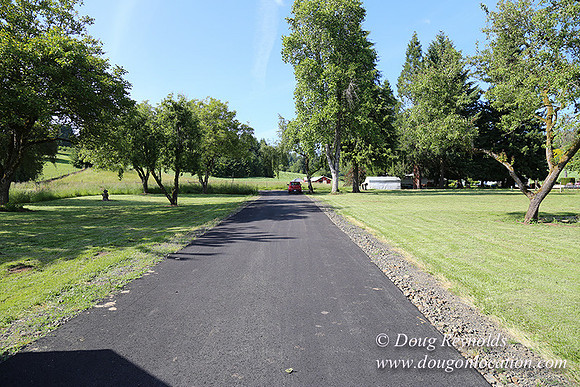 Helvetia rd at Mikes-5992