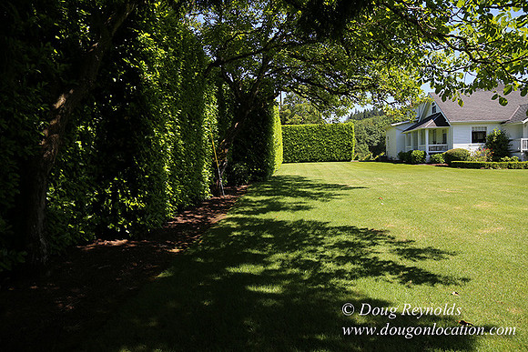 Oswego Hills-5489