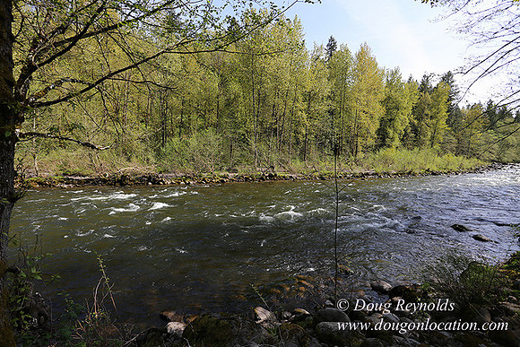 Brians River Side-9868