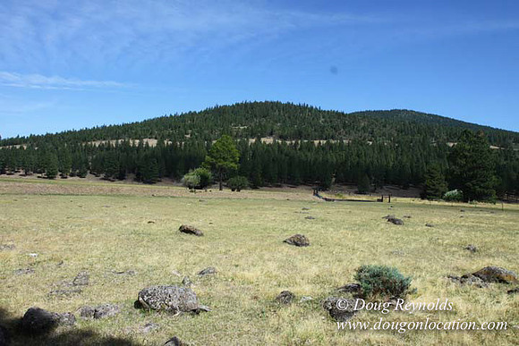 Ranch 18 South side of Hwy  has 2500 Acres of green fields Creeks water crossing Bridges on a Large Lake and miles of Dirt roads Oak trees  Forest land ATV Trails cows