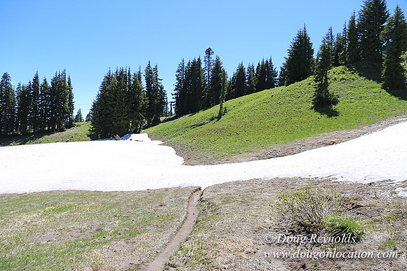 Medow's Snow-5797