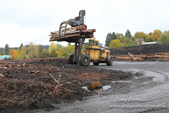 Saw Mill and Lumber Yard