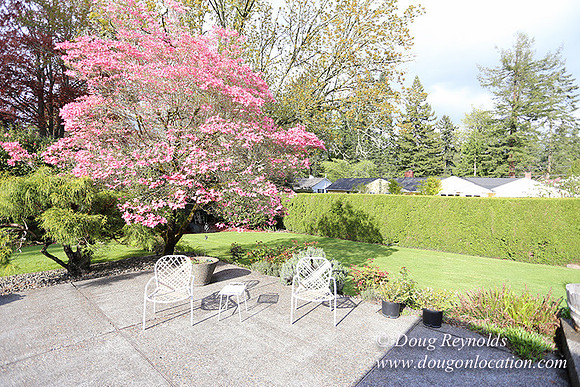 Mid Century Traditional Style Home, With a Basement, 2 car garage average sized Back Yard with Patio