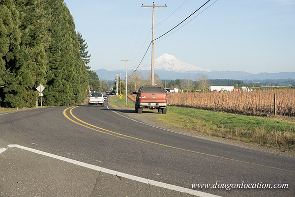 Kelso Rd W Driving E-3974