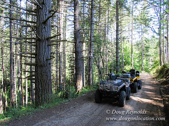 Ranch 6 has 2500 Acres of rolling green hills barns Creeks water crossing Bridges River and miles of Dirt roads Oak trees Cabins Forest land ATV Trails Camping