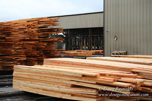 Saw Mill and Lumber Yard