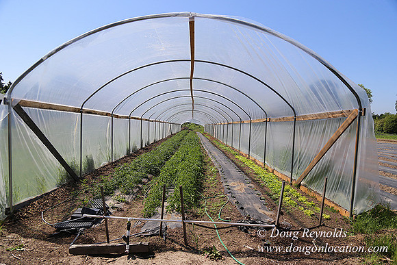 Vahan's Farm & Market-5196