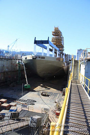 Ship Yard-0668