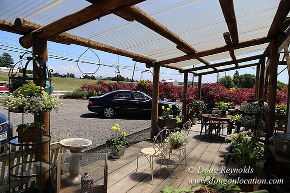Little Door Farm Market-5405