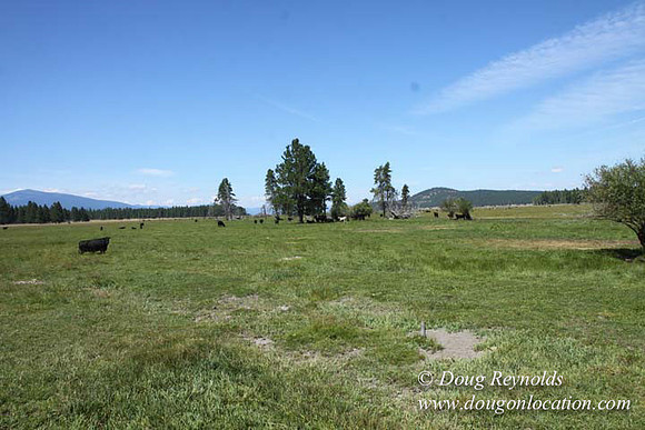 Ranch 18 South side of Hwy  has 2500 Acres of green fields Creeks water crossing Bridges on a Large Lake and miles of Dirt roads Oak trees  Forest land ATV Trails cows
