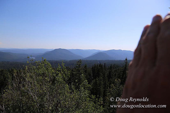 Timberline Rd View South-6997