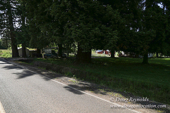 Helvetia rd at Mikes-5962