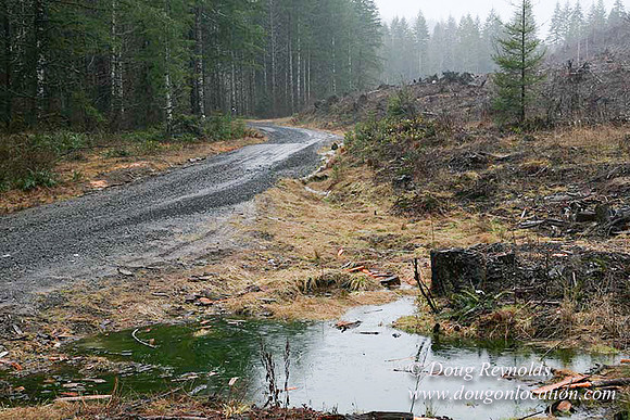 WC Clear Cut 2010-7869