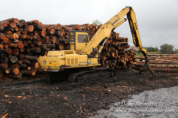 Saw Mill and Lumber Yard