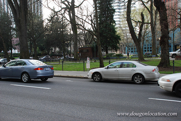 Chapman Square-0444