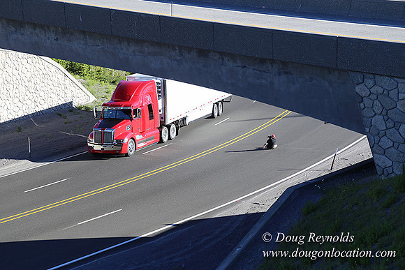 CMD Western Star Production Photo