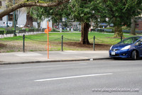 Chapman Square-0437