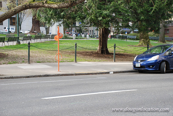 Chapman Square-0437