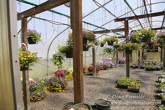 lee Farms-5293