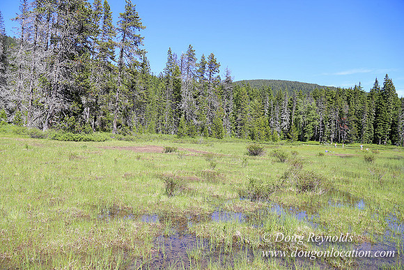 Frog Lake-3493