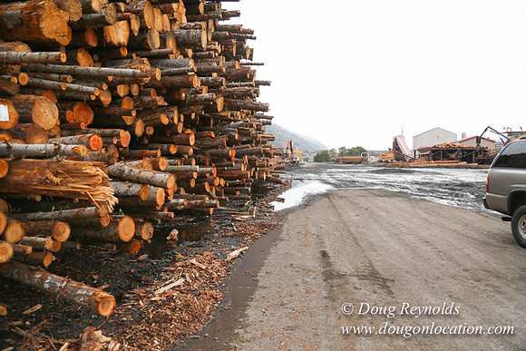 SDS Lumber-1347