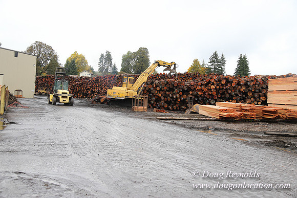 Saw Mill and Lumber Yard
