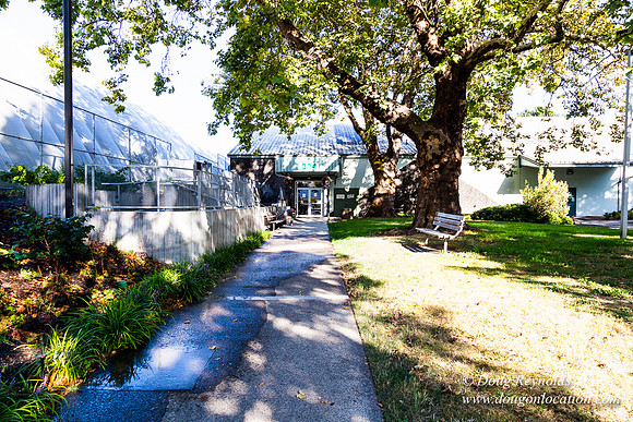 Portland Tennis Courts 3