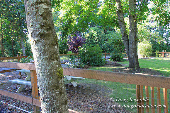Traditional Style Home small farm with large kitchen great room, 2 story, 2 car garage on Acreage with large back yard, large front yard, garden, pond, deck, goats, bees, shop, PDX Zone