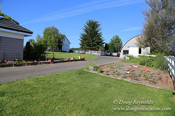 "2 Barns", "2 car garage", "40+ Acres", "PDX Zone", Pool, "White Fence", cows, "farm House", "rap around dive", "well maintained"