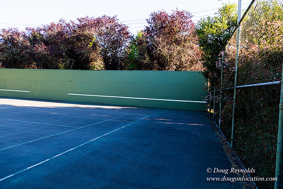 Kenilworth Courts