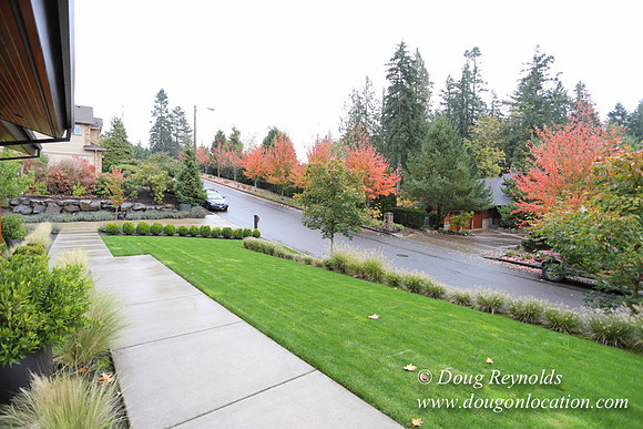Kathy's House-0393